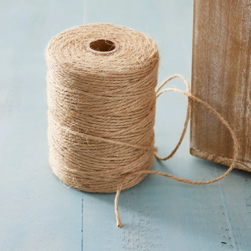 12 Pack: Natural Jute Twine by Ashland™