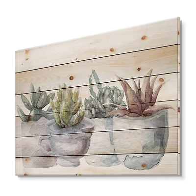 Designart - Cactus and Succulent House Plants IV