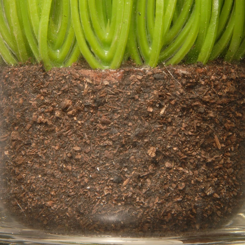 3-Piece Round Sprout-Filled Glass Assortment