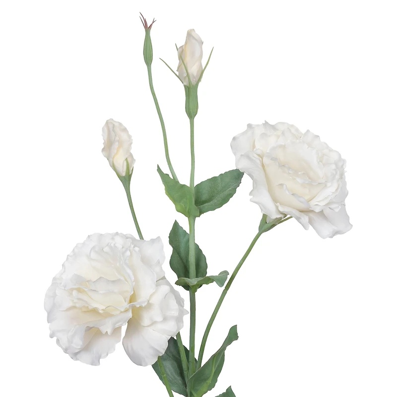 27" Lisianthus Stem by Ashland