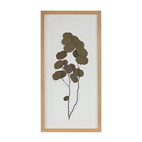 27.75" Dried Eucalyptus Frame Set