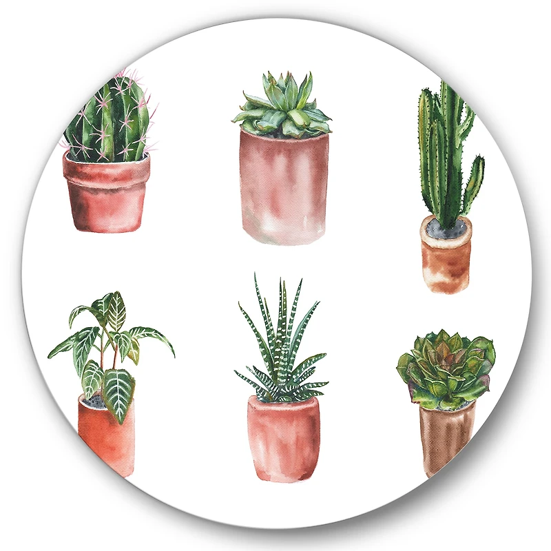 Designart - Flowers In A Pot Cacti and Succulents