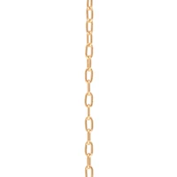 7.5" Gold Anklet Charm Bracelet by Bead Landing™