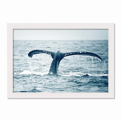 Whale Tail Out of Water White Framed Nautical Wall Décor