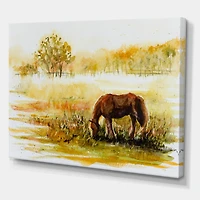 Designart - Horse Grazing On A Meadow