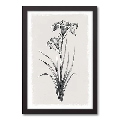Sketchy Florals 13.73" x 19.73" Black Framed Canvas