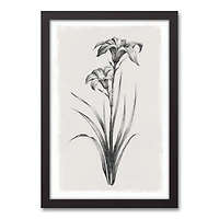 Sketchy Florals 13.73" x 19.73" Black Framed Canvas