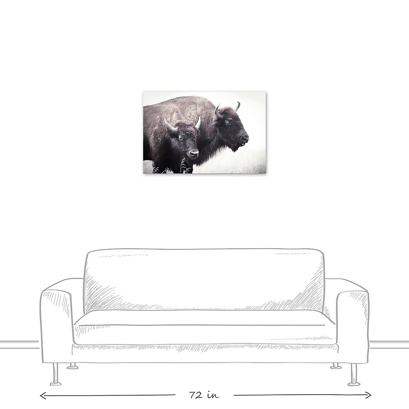 Two Bison 20" x 30" Canvas Wall Art