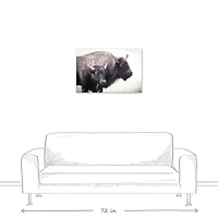 Two Bison 20" x 30" Canvas Wall Art