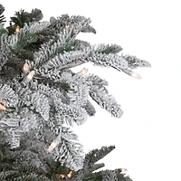 6.5ft. Pre-Lit Real Touch™️ Full Flocked Whistler Noble Fir Artificial Christmas Tree, Clear Lights