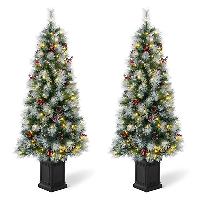2 Pack 5ft. Pre-Lit Pine Artificial Christmas Porch Tree