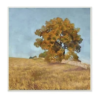 Stupell Industries Autumn Tree on Grassy Hill Country Landscape,12" x 12"