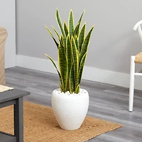 2.5ft. Green & Yellow Snake Plant in White Planter