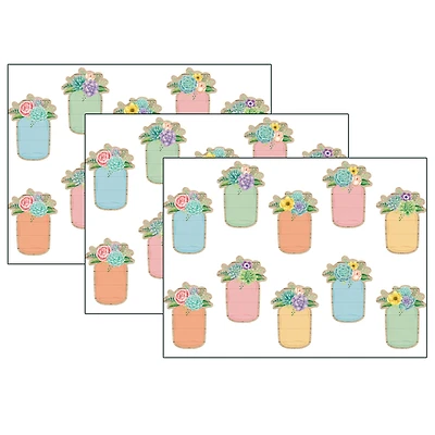 Teacher Created Resources Rustic Bloom Mason Jars Accents, 3 Packs of 30