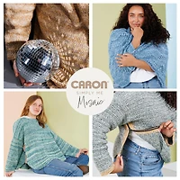 2 Pack Caron® Simply Me Mosaic™ Yarn