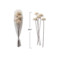 Hello Honey® 23.5" Dried Natural Sesame Flower Stems