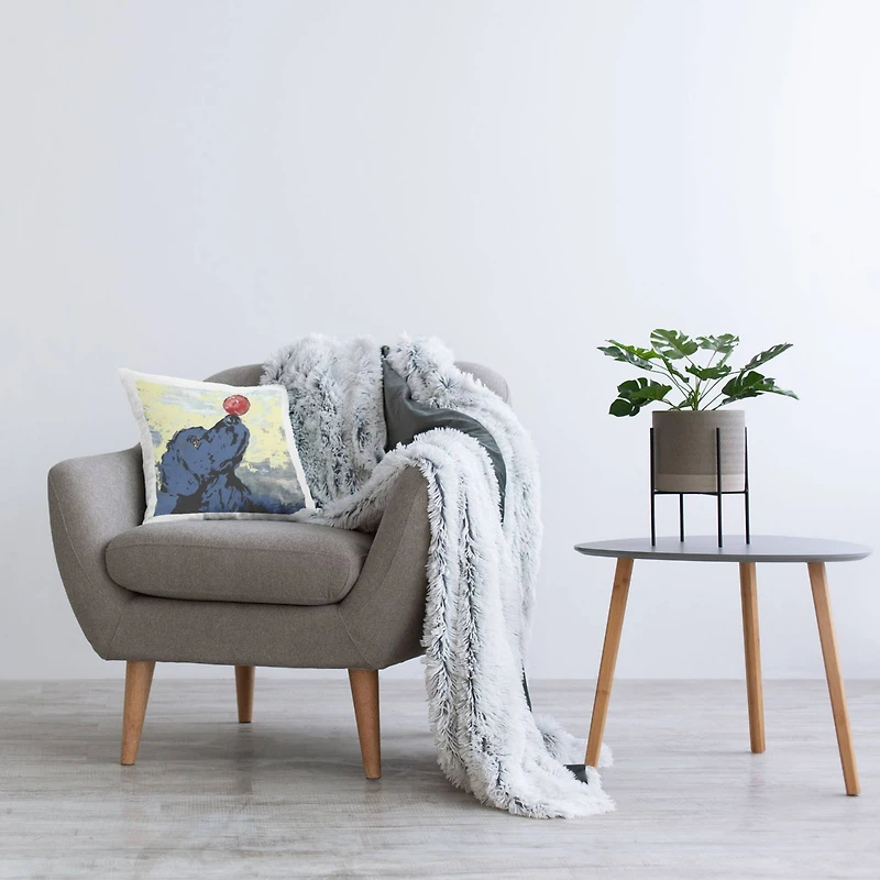 Stupell Industries Playful Blue Dog Balancing Red Ball Throw Pillow, 18" x 18"