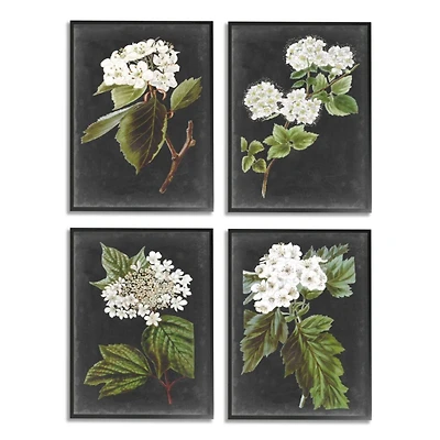 Stupell Industries Gray with White Cottage Florals Black Framed Wall Art, 4ct.