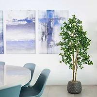 6ft. Potted Black Olive Tree