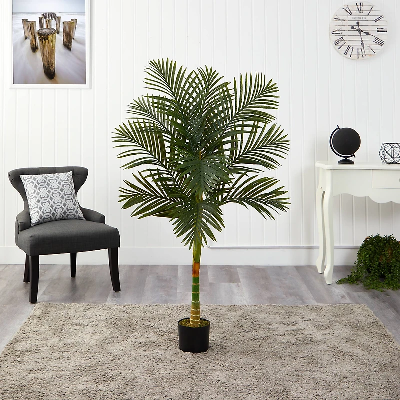 5ft. Potted Golden Cane Palm Tree