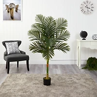 5ft. Potted Golden Cane Palm Tree