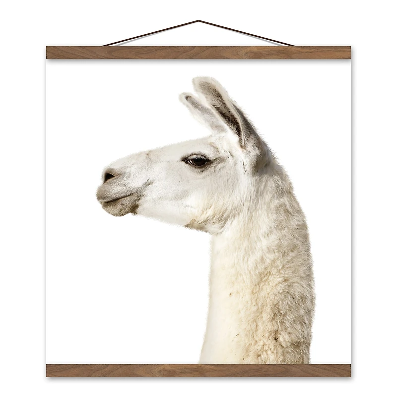 Fluffy Llama 16" x 16" Teak Hanging Canvas