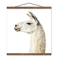 Fluffy Llama 16" x 16" Teak Hanging Canvas