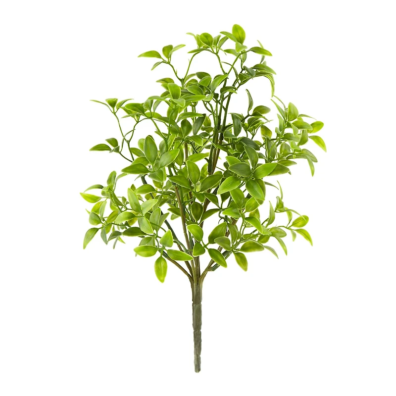 Tea Leaves Bush by Ashland®
