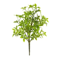 Tea Leaves Bush by Ashland®