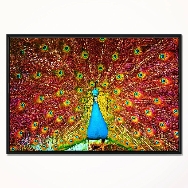 Designart - Peacock Dancing