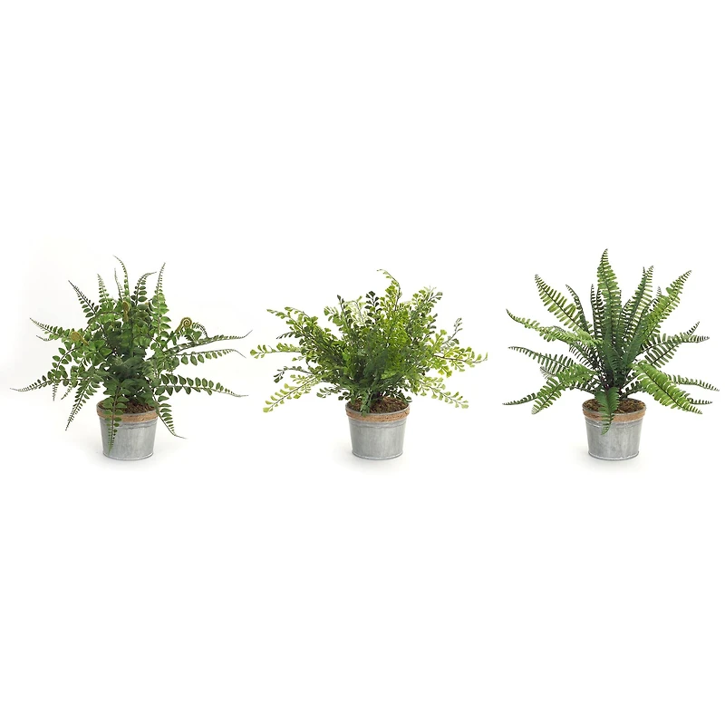 14.5" Fern Plant in Tin Pot Set