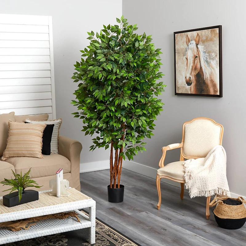 6.5ft. Potted Deluxe Ficus Tree