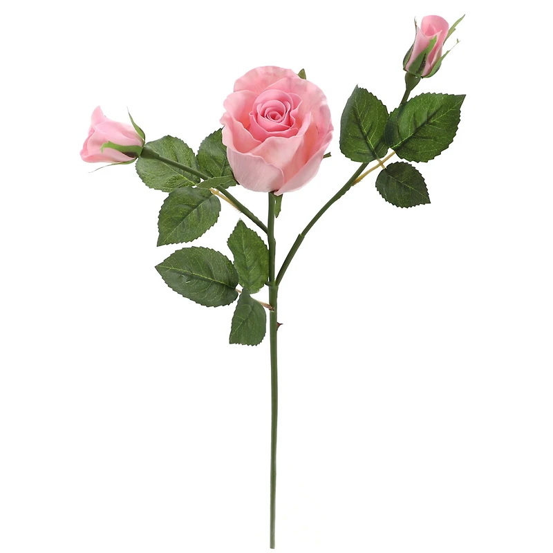 6 Pack: Blush Rose Spray by Ashland®