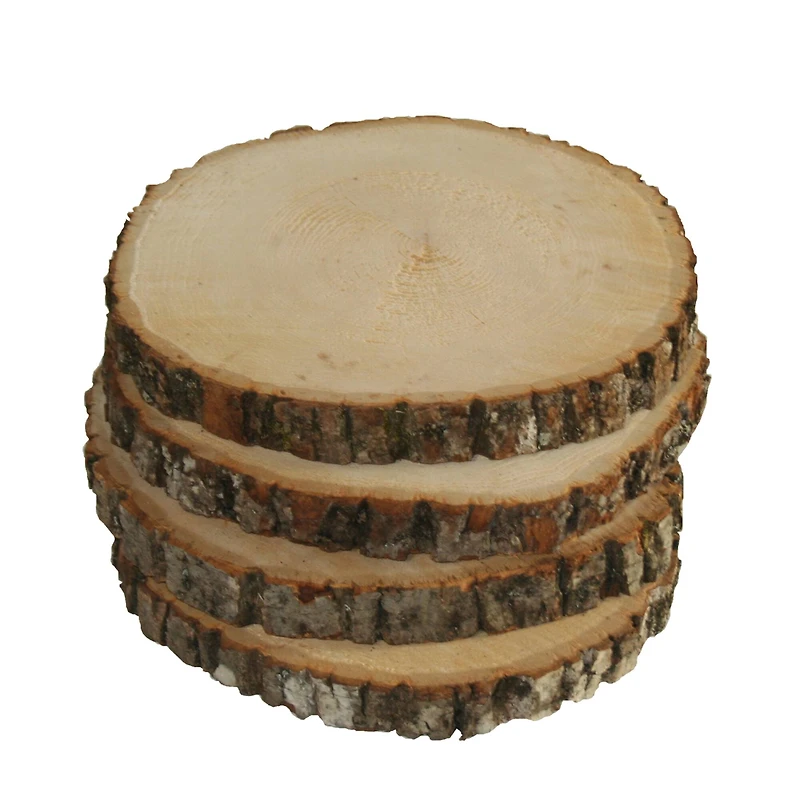 Wilson® Enterprises 50 Pack Small Unsanded Basswood Ornament