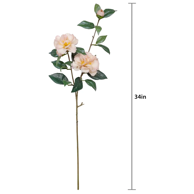 34" Camellia Spray Stem by Ashland