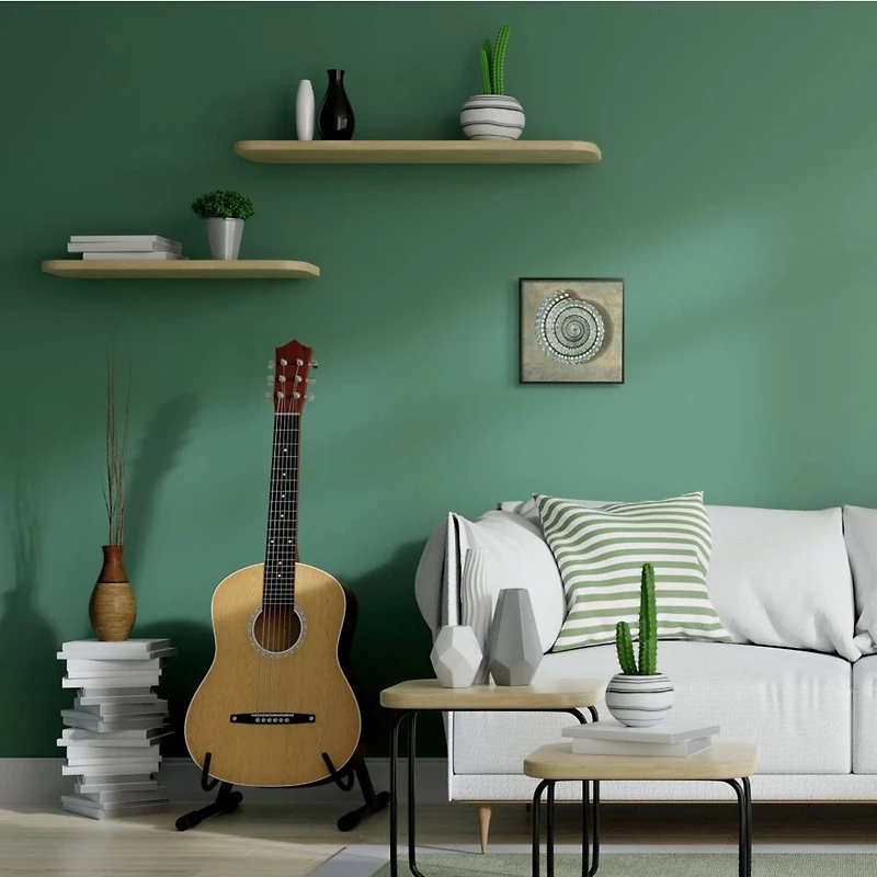 Stupell Industries Spiral Shell Beach Objects Design Black Framed Wall Art