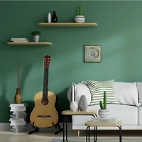 Stupell Industries Spiral Shell Beach Objects Design Black Framed Wall Art