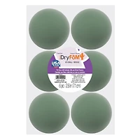 FloraCraft® DryFoM Floral Desert Ball, 6ct.