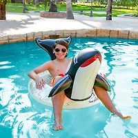 PoolCandy 36" Orca Whale Pool Tube