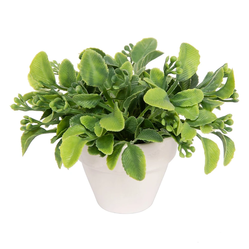 Assorted Micro Premade Leaf Plant, 1pc. by Ashland®