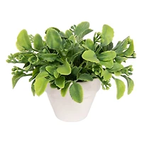 Assorted Micro Premade Leaf Plant, 1pc. by Ashland®
