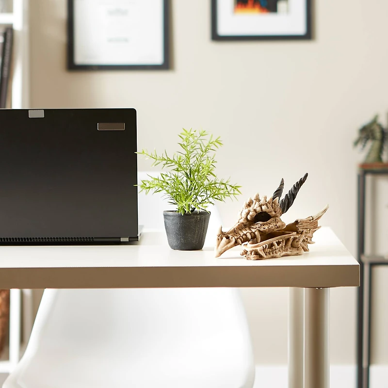 12" Snarling Dragon Skull Treasure Trove Box