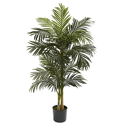 5ft. Potted Golden Cane Palm Tree