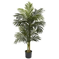 5ft. Potted Golden Cane Palm Tree