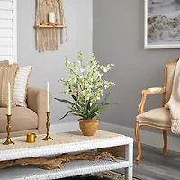 2ft. Dancing Lady Orchid Arrangement in Ceramic Vase