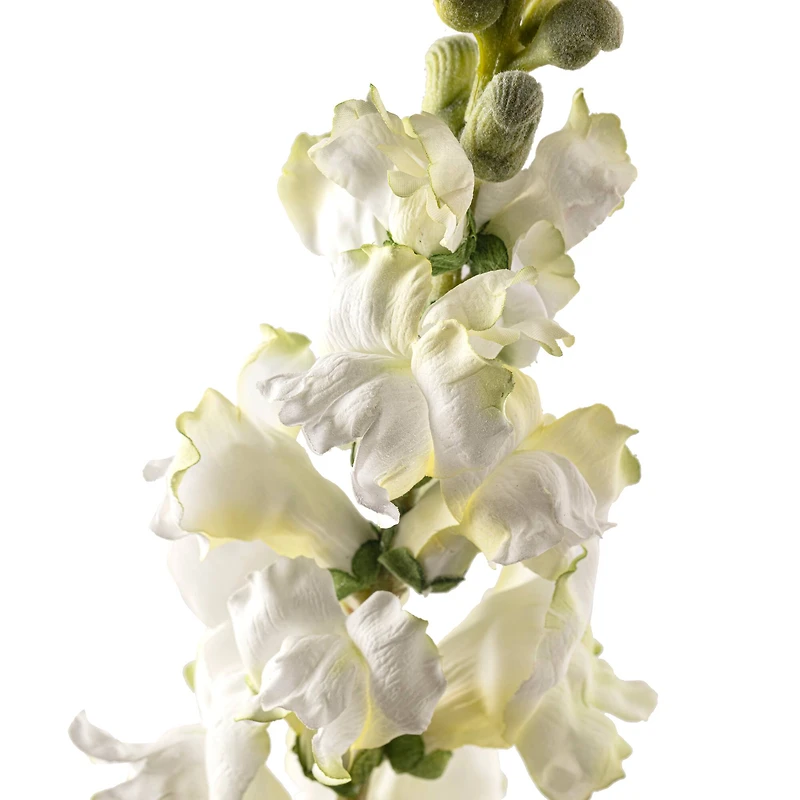 6 Pack: Cream Snapdragon Spray by Ashland®