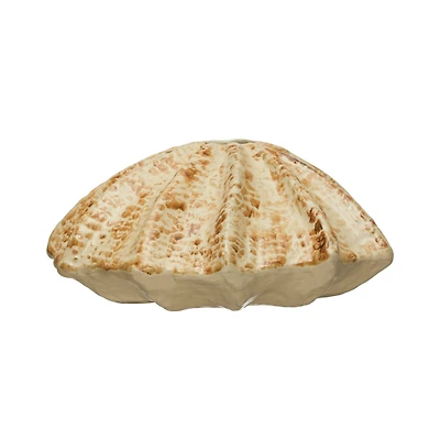 Hello Honey® Bloomingville 9" Tan Stoneware Shell Vase