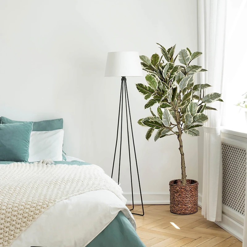 American Art Decor 5ft. Variegated Rubber Tree in Woven Basket