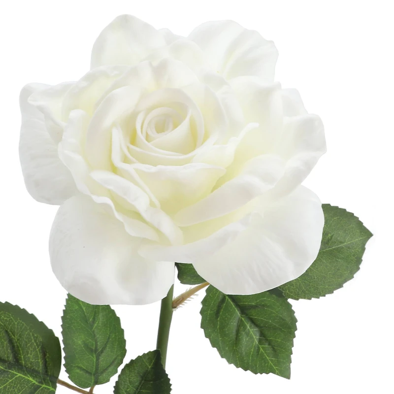 6 Pack: White Rose Stem by Ashland®