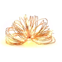 50ct. Amber/Warm White LED String Lights by Ashland®